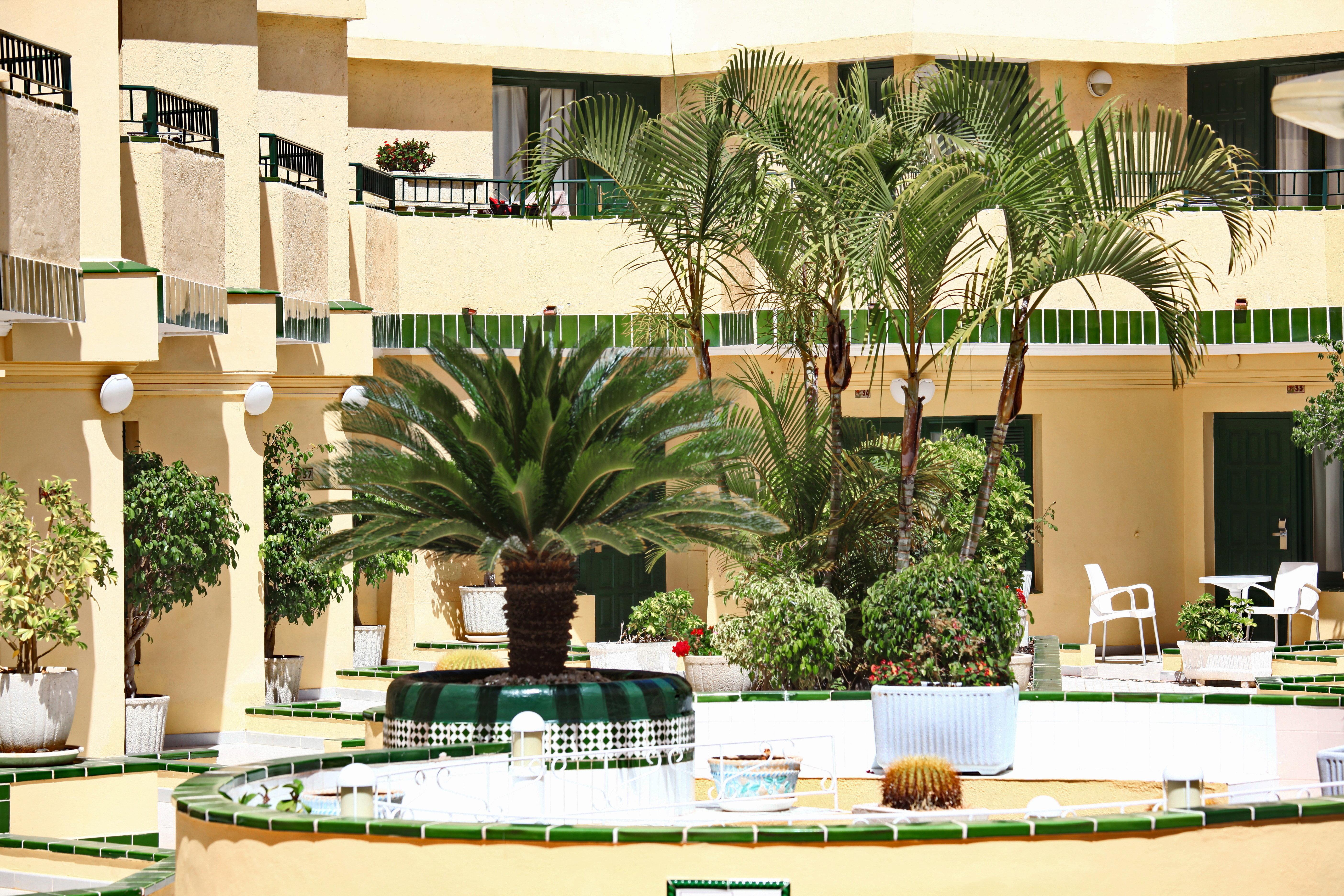 Aparthotel Alegria Barranco Playa de las Americas  Esterno foto
